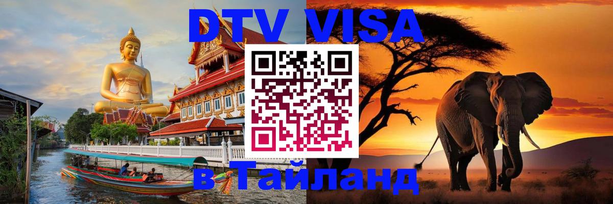 Сколько стоит DTV виза — актуальные цены, оформление даже без документов - Армавир 